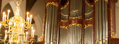 Van Dam Orgel